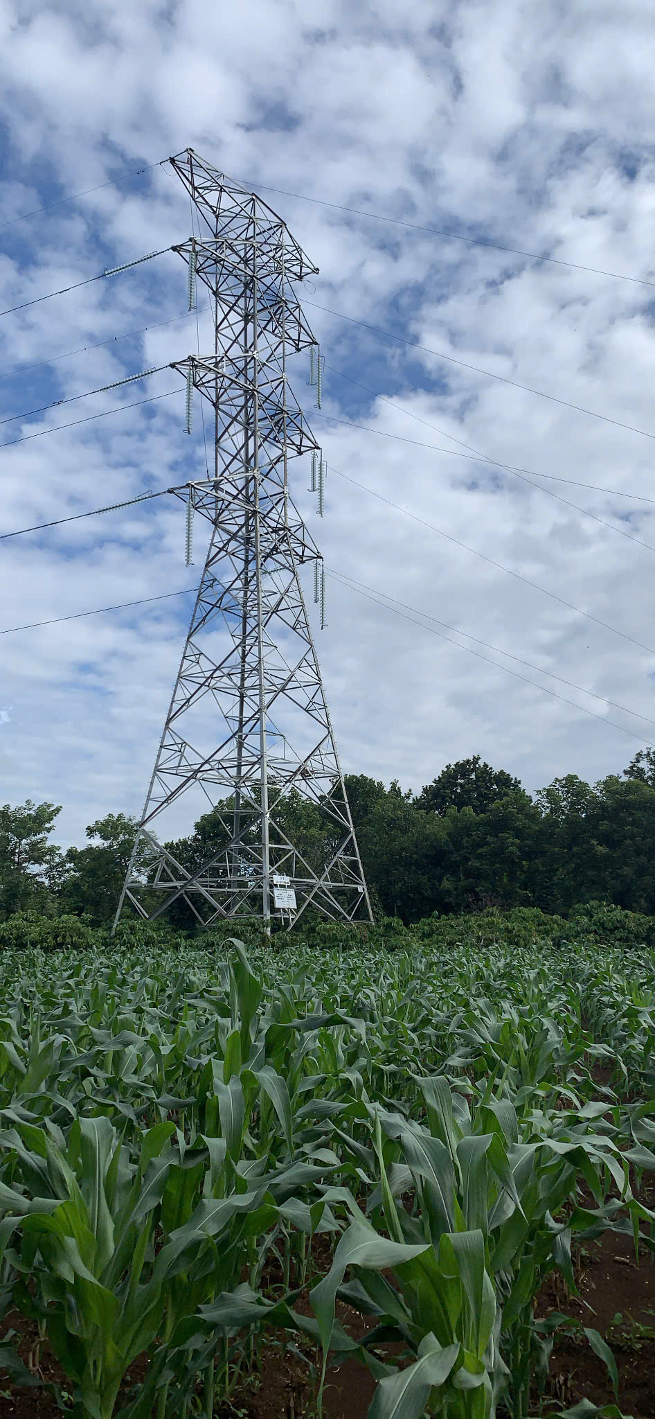 Đường dây 220kV Tân Sơn Nhất – Thuận An